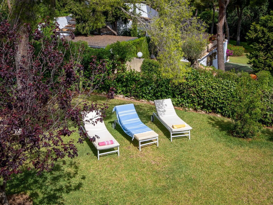 Plant, Plant Community, Outdoor Furniture, Armrest, Tree, Rectangle, Grass, Shrub, Woody Plant, Landscape