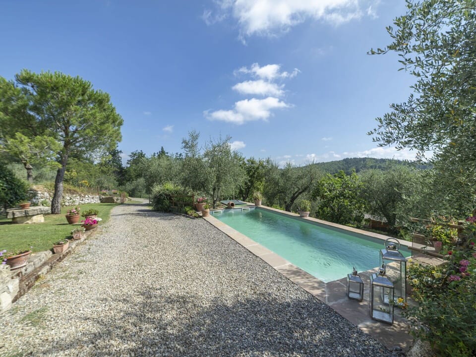 Plant, Sky, Water, Cloud, Water Resources, Tree, Natural Landscape, Body Of Water, Vegetation, Swimming Pool