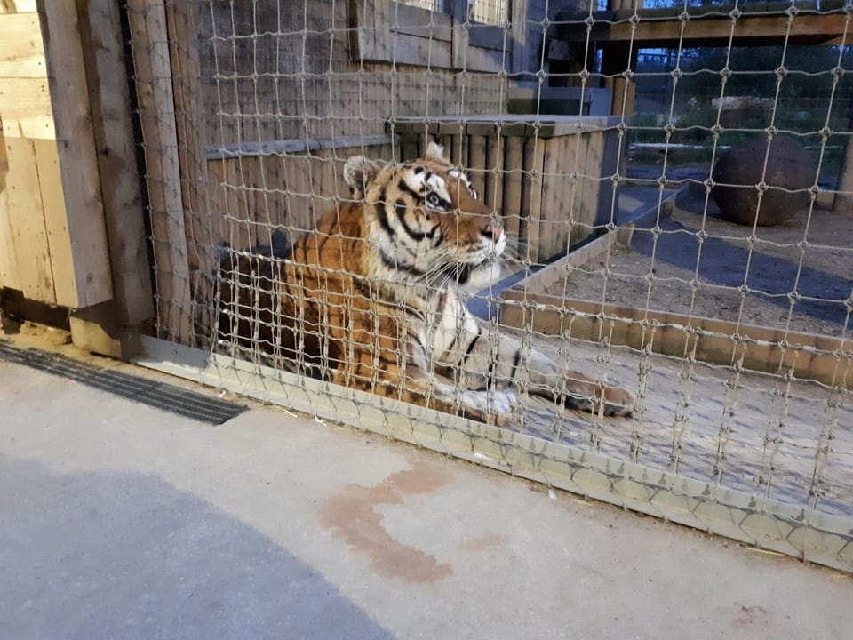 Ark Wildlife Park