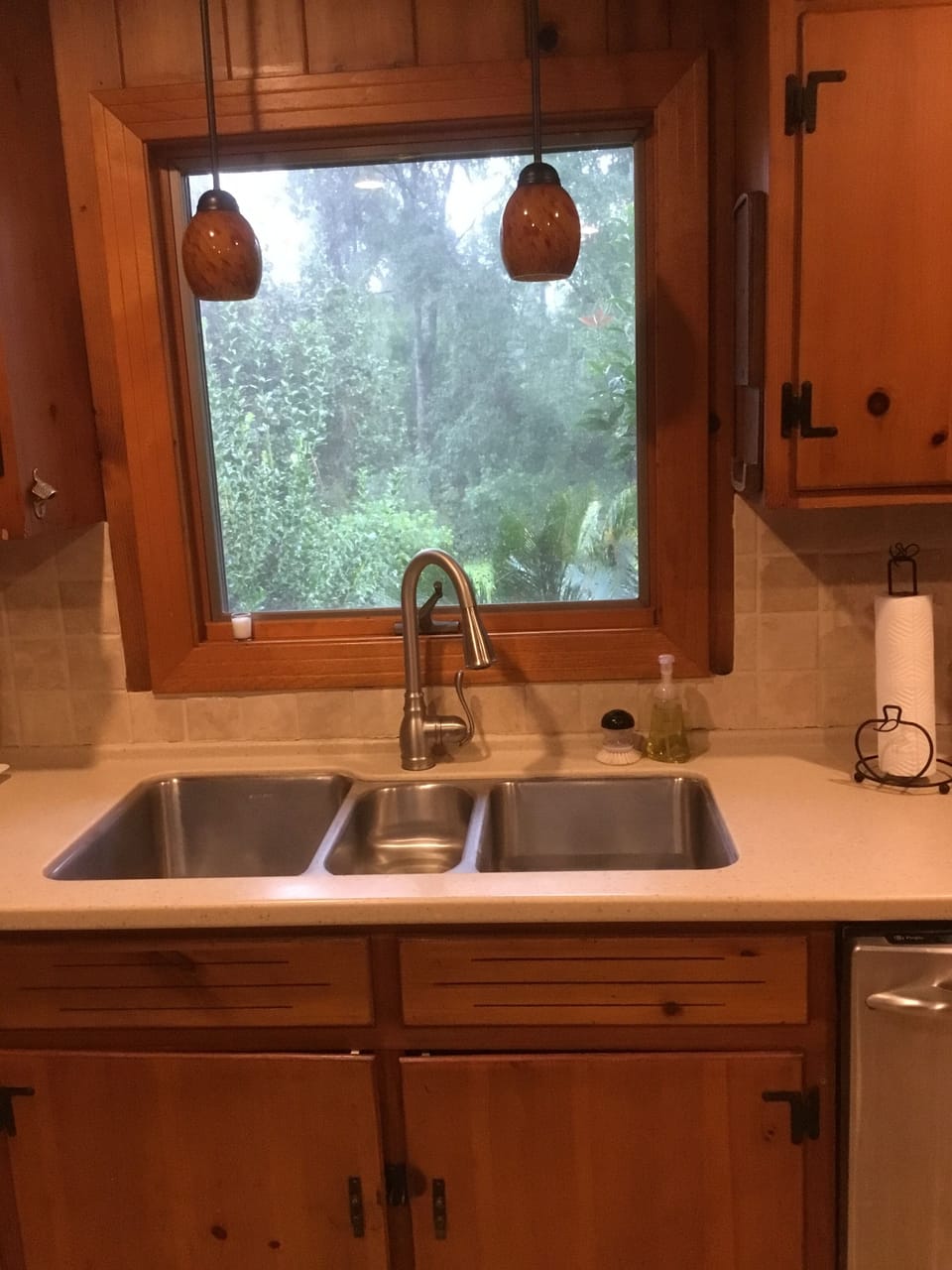 Sink with window view of backyard