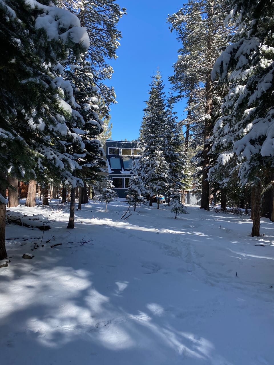 Do you like to play in the snow? This is the perfect place to enjoy winter! 