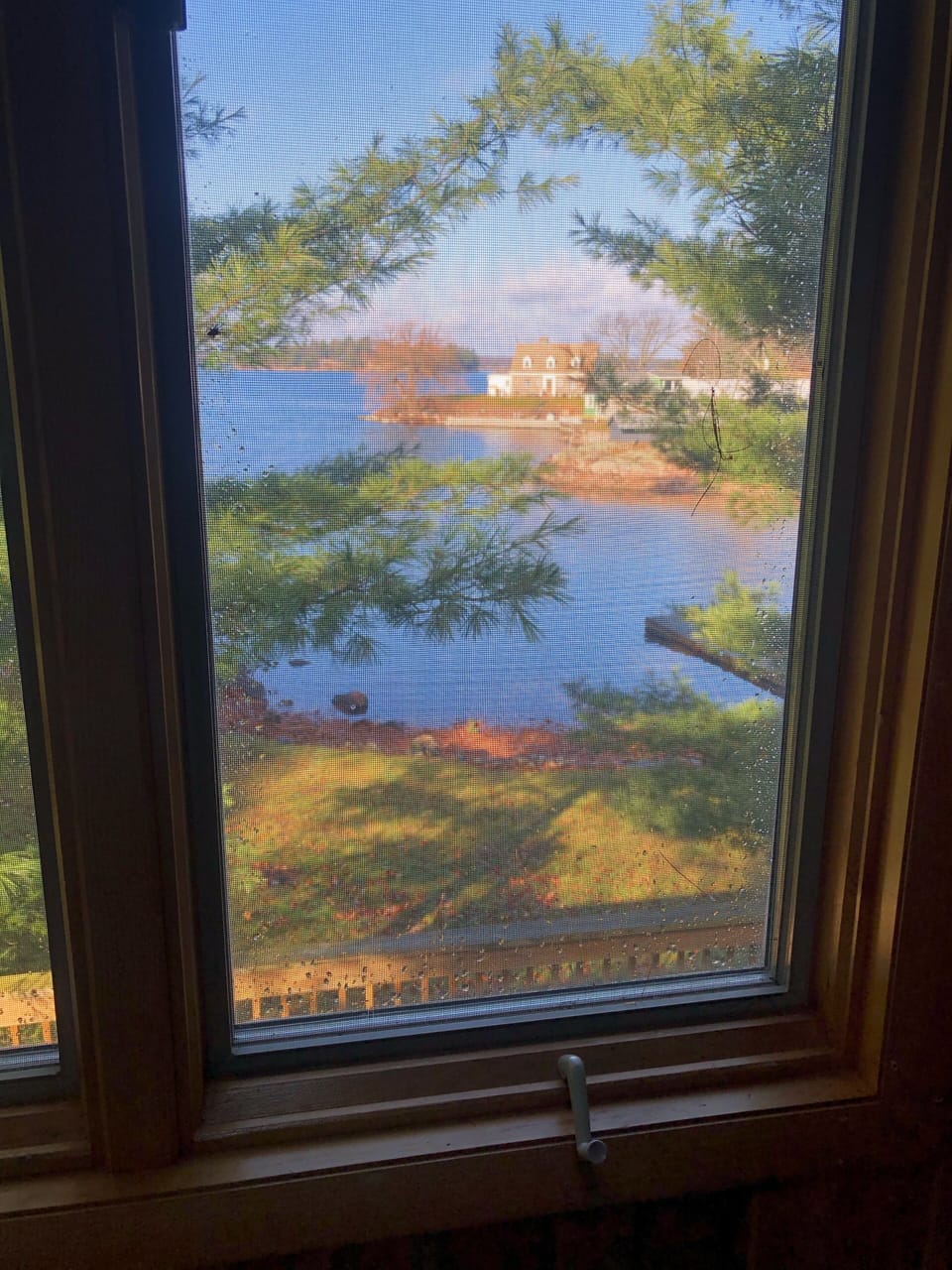  Morning View From Master Bedroom 
