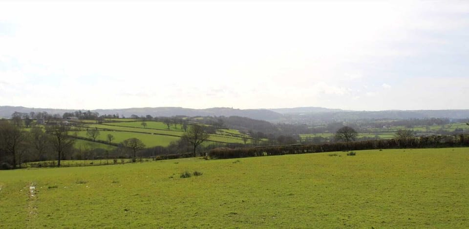 Image 22