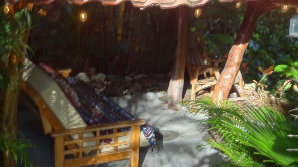 There is also private seating areas in the garden