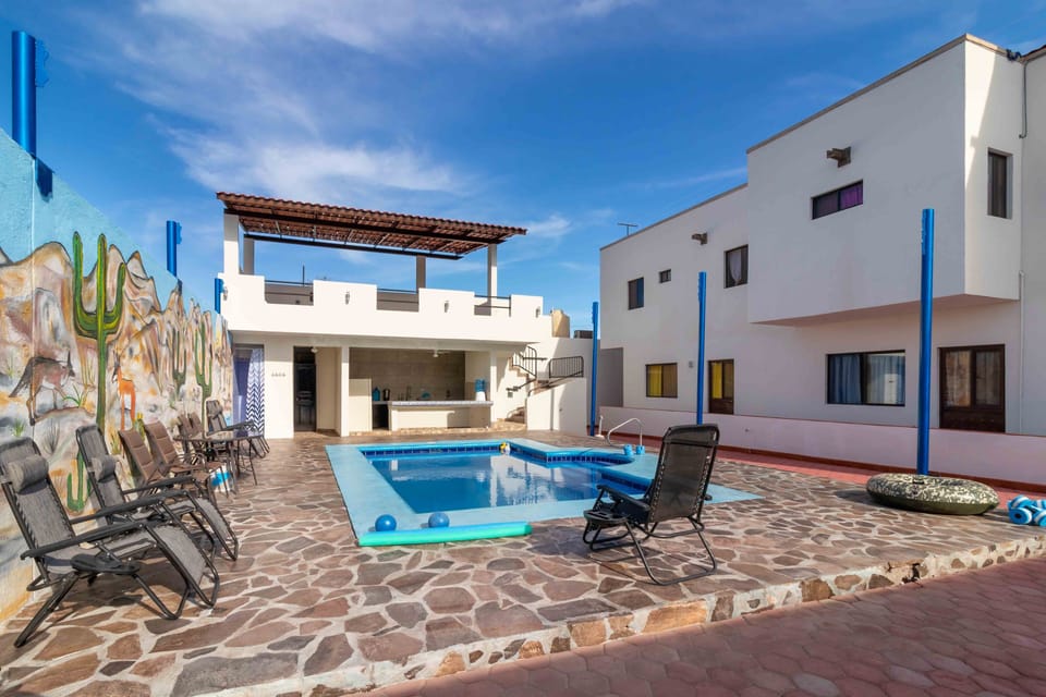 Outdoor gym is on terrace above outdoor kitchen, overlooking the swimming pool.