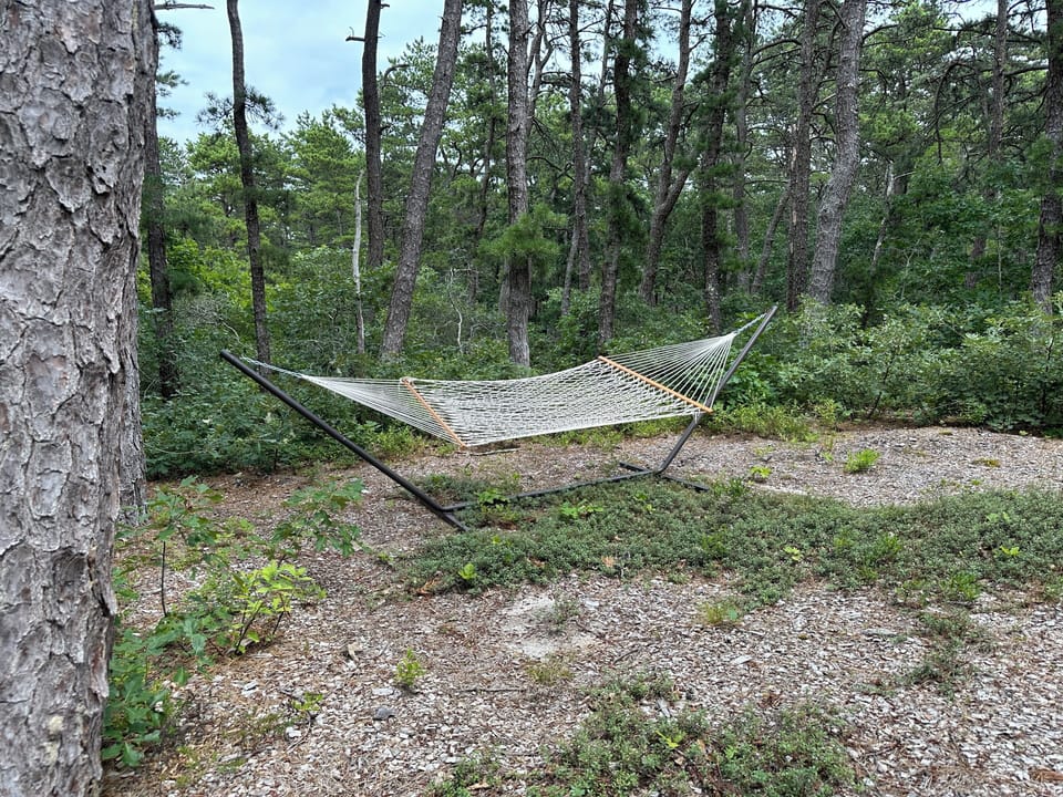Hammock