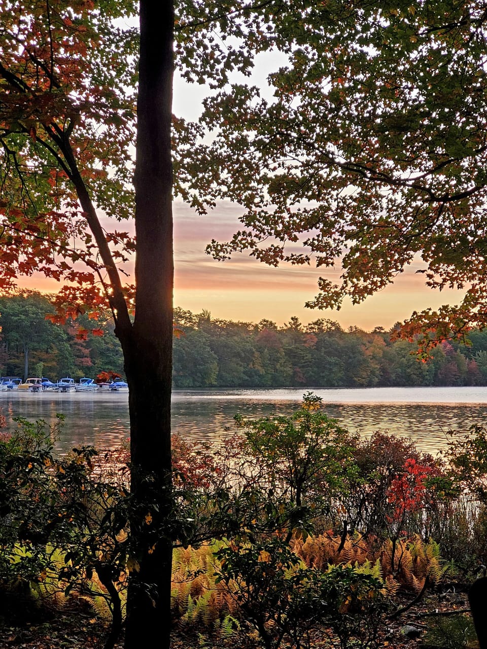 Lake view with sunrise.  Beautiful!