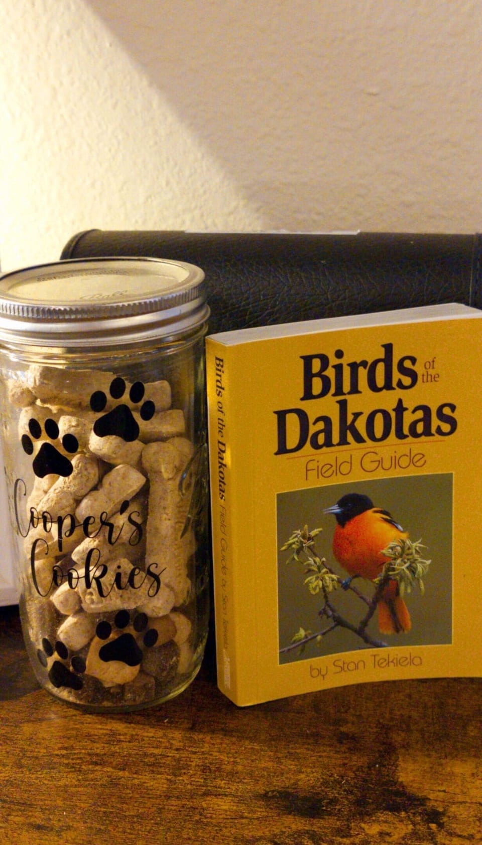 Cooper cookies for the famous Cooper Dog. 