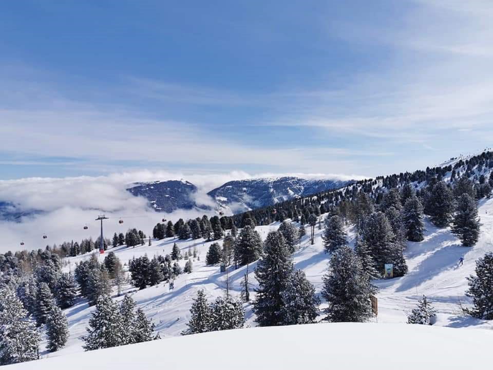 Region [winter] (>5 km)