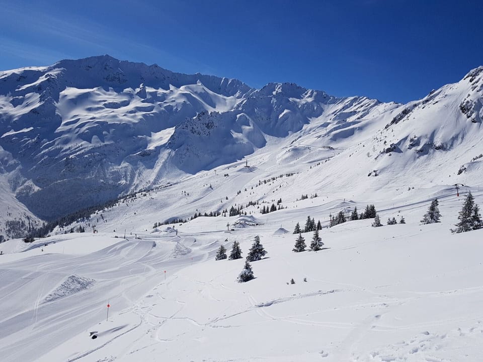 Snow and ski sports