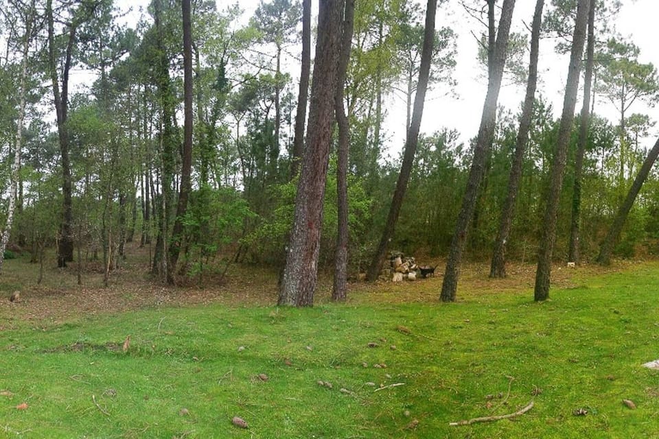 Deux maisons qui peuvent en former qu’une à la frontière de Cucq et le Touquet. Ce fut un super séjour à 16! La maison était très propre et l’accès très facile! Quartier calme au milieu de la forêt !  Garden