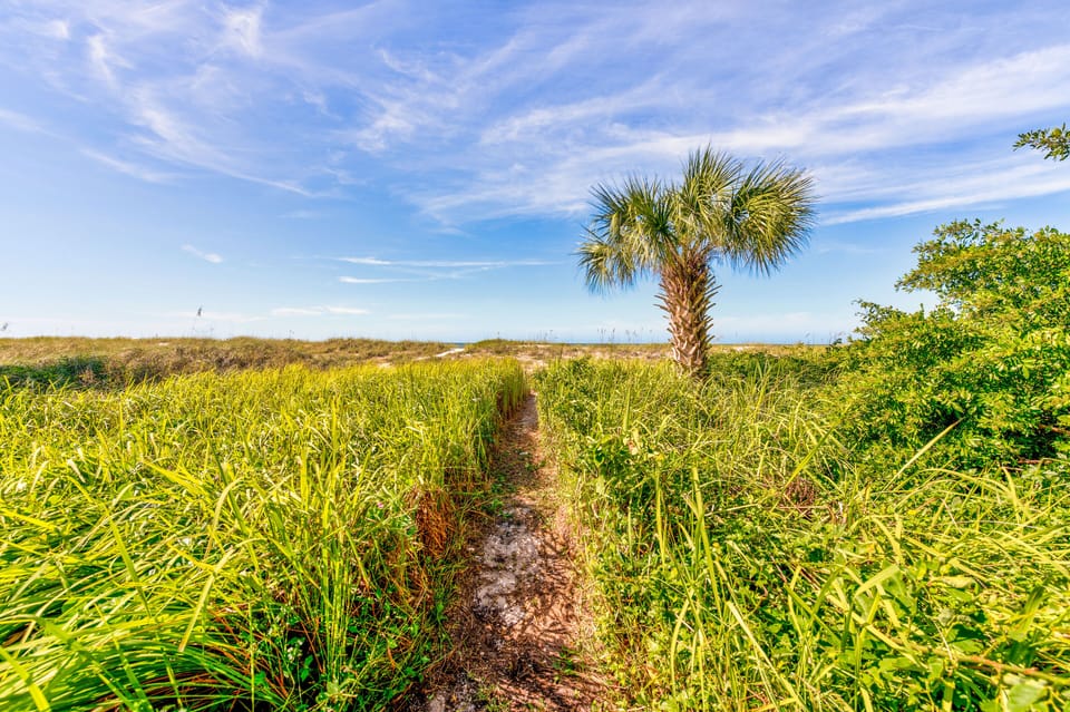 Beach Access Path