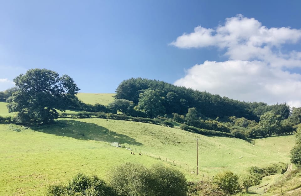 View from the hut