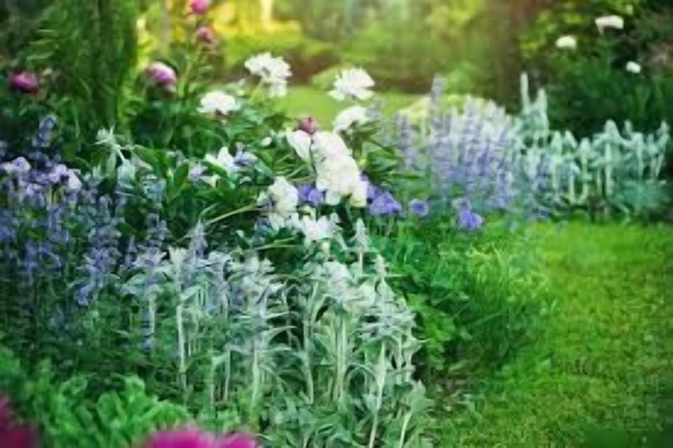 beautiful cottage garden