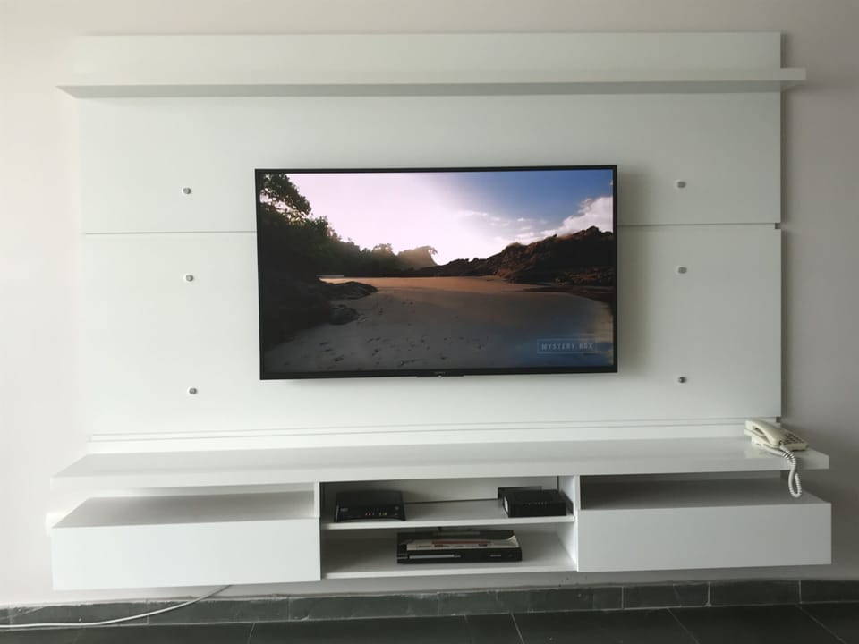 Television