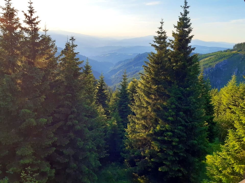 View from Holiday Home [summer]