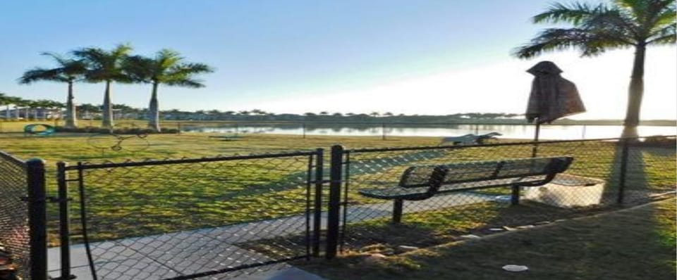Dog Park