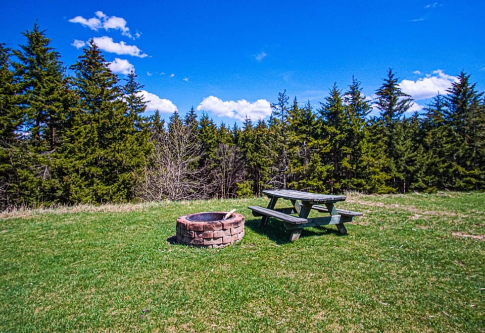 Community Fire pit and picnic area