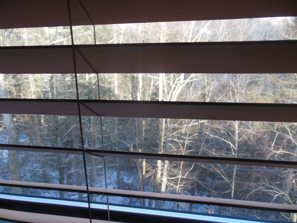 Scenic elevation from LR window