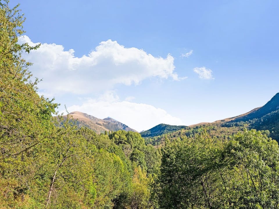 Immediate Surroundings [summer] (<1 km)
