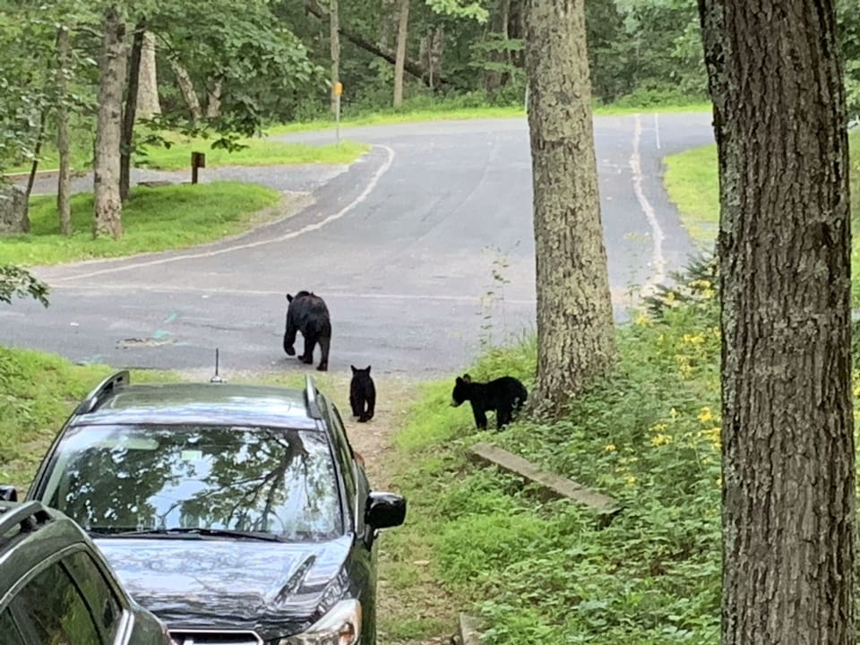 Friendly neighbors to be aware of!