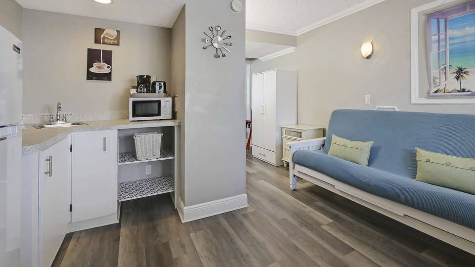 Living Area - Kitchenette