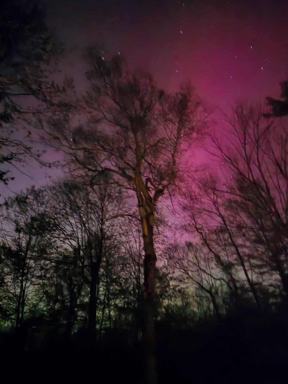 An amazing visit by the northern lights