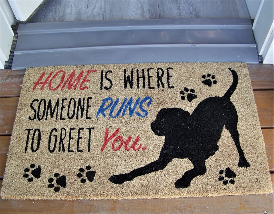 We love our critters!