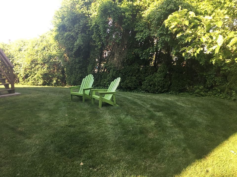 Backyard ready for fun and relaxation