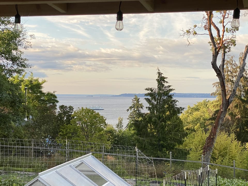 View from property