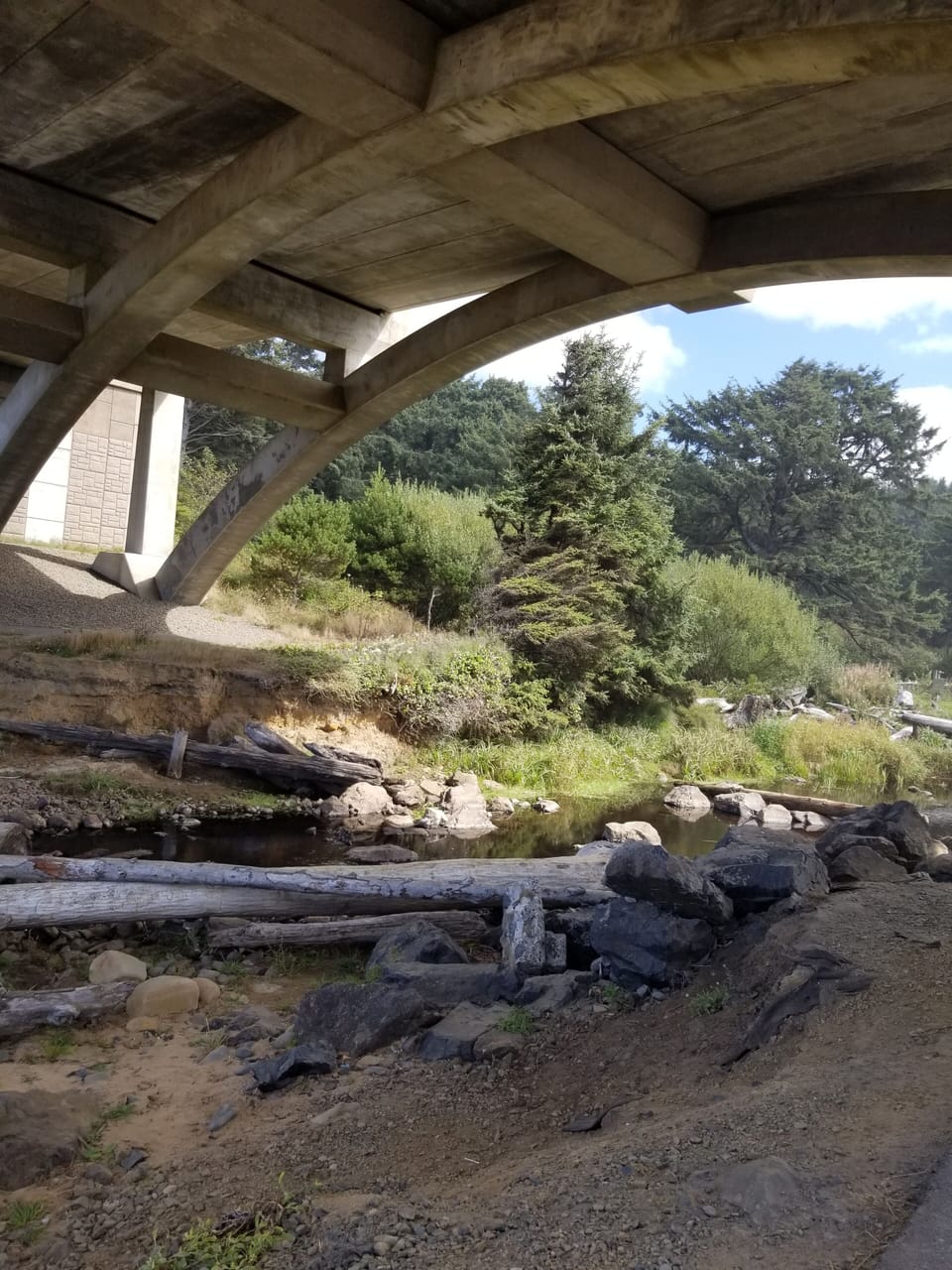 Hike and bike the Oregon coast.