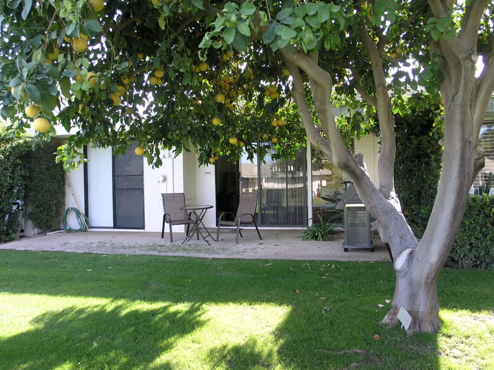 Back Patio
