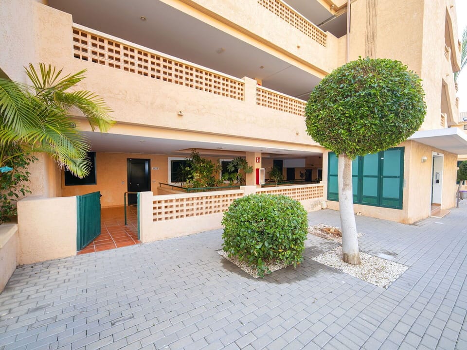 Plant, Building, Shade, Urban Design, Condominium, Tree, Residential Area, Landscape, Real Estate, Facade