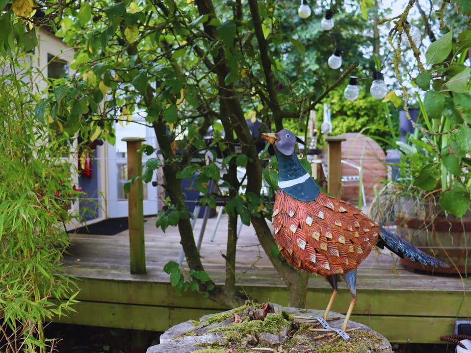 The Pheasant - sit outside, contemplate the views, and watch for the surrounding wildlife