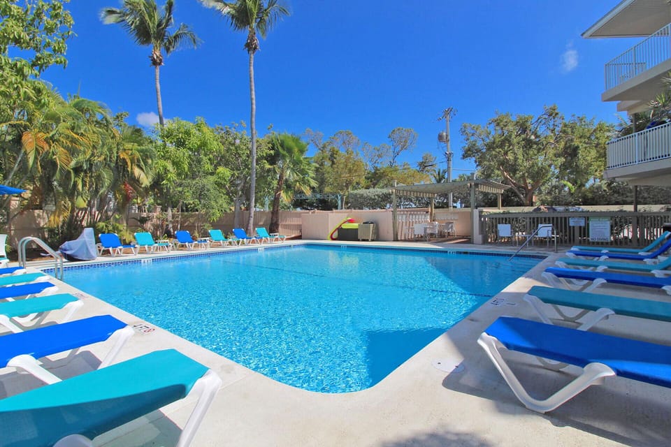 Pool area with surrounding Lush Palms