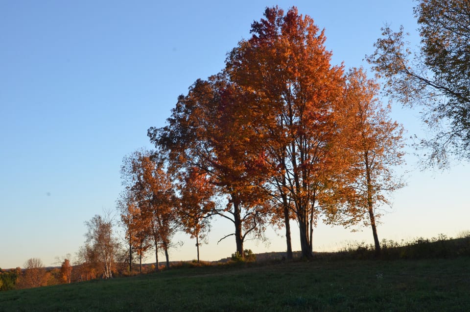 Vista when walking in fields behind the School House