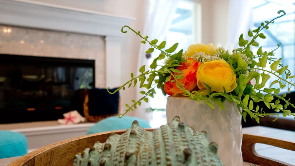 Our living room blooms with delight.