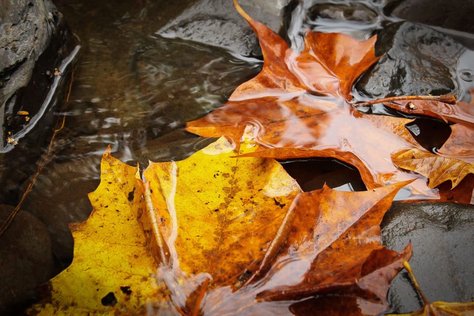 Moments big and small are fleeting (flowing...) but they are ours none-the-less!