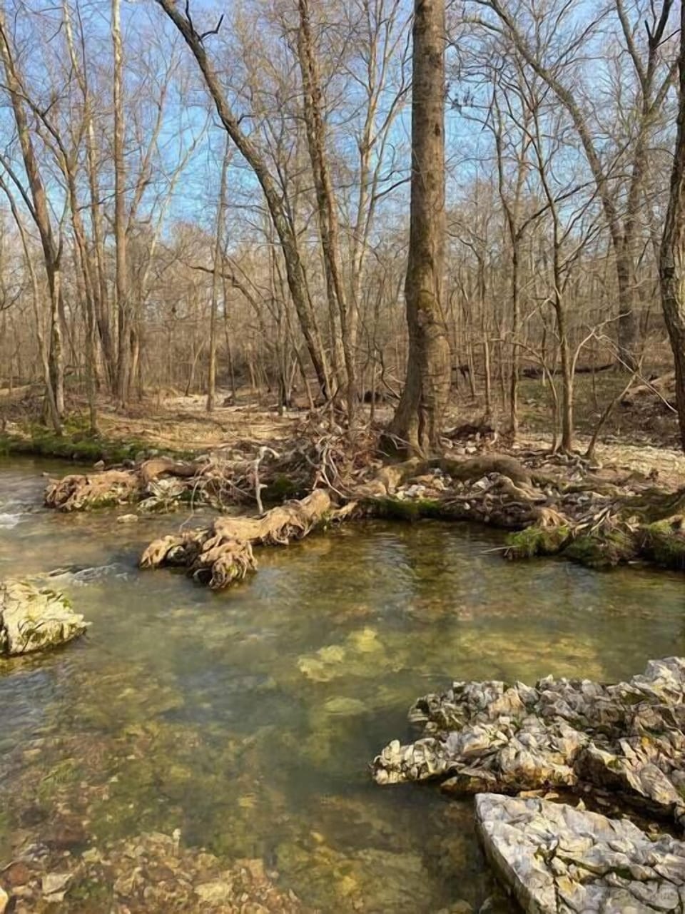 B7fece3f 4d15 4c35 960e 4af7a7874541