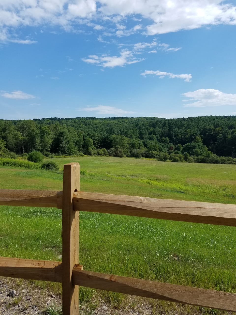View from property