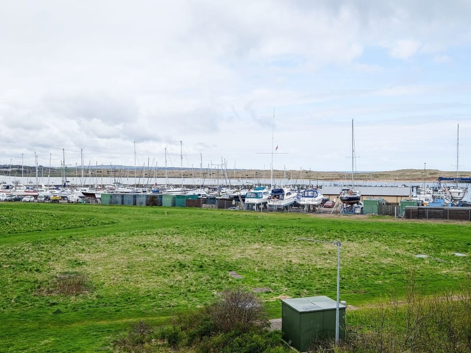 View from garden decking area
