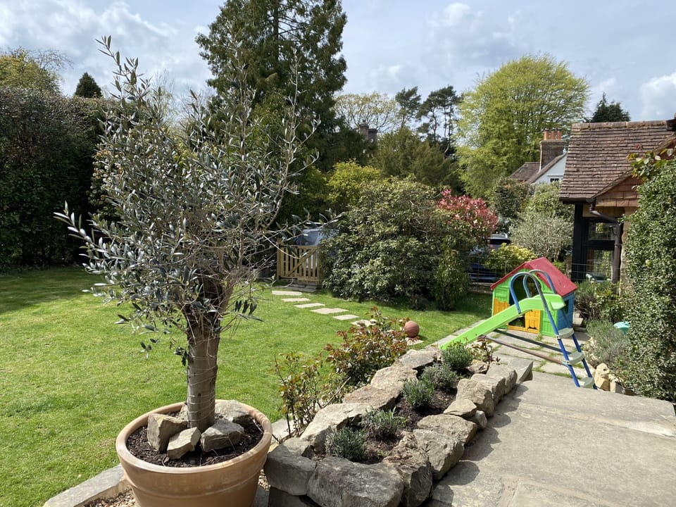 Children's area