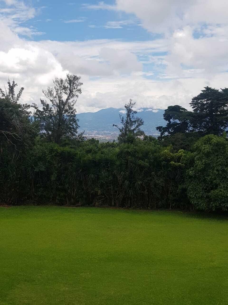 View from the city