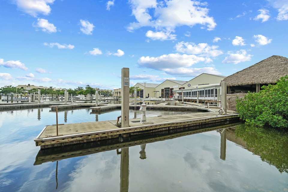 Docks