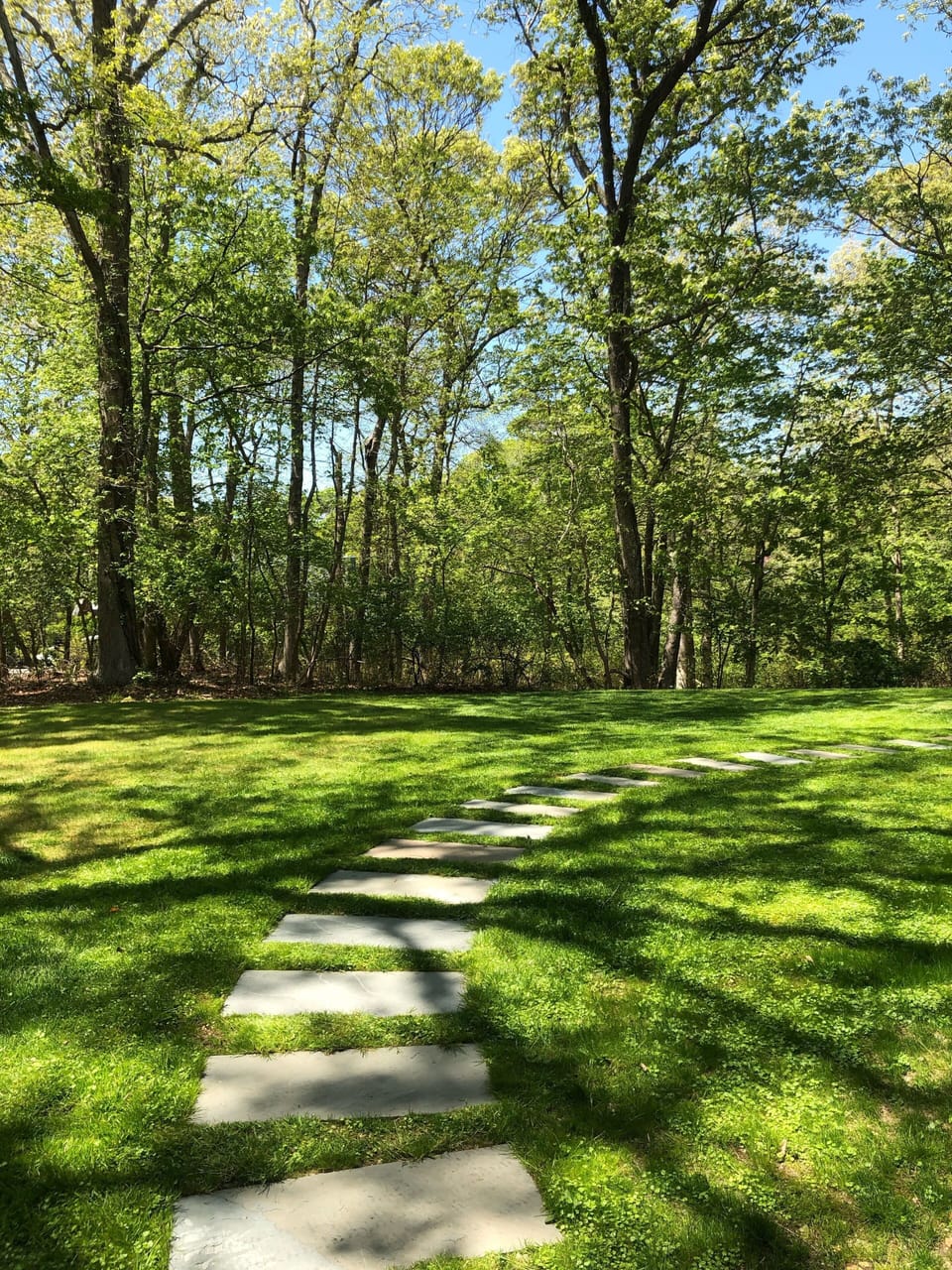 Front yard