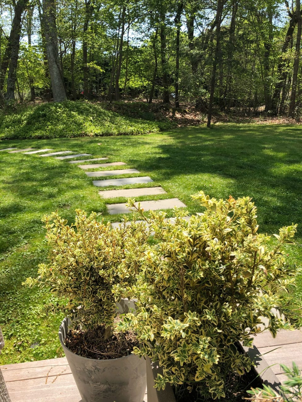 Front yard