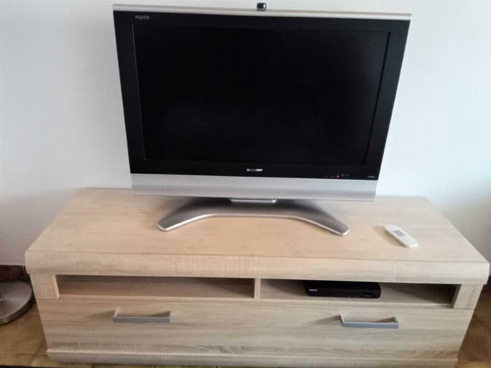 Television