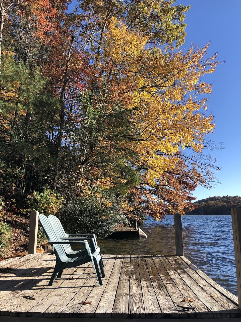 Fall time!
