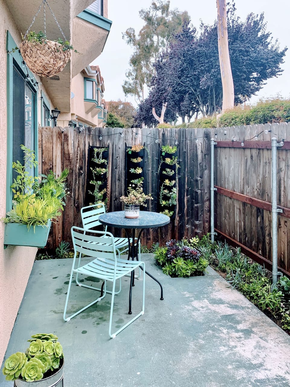 Side yard succulent garden with table and chairs