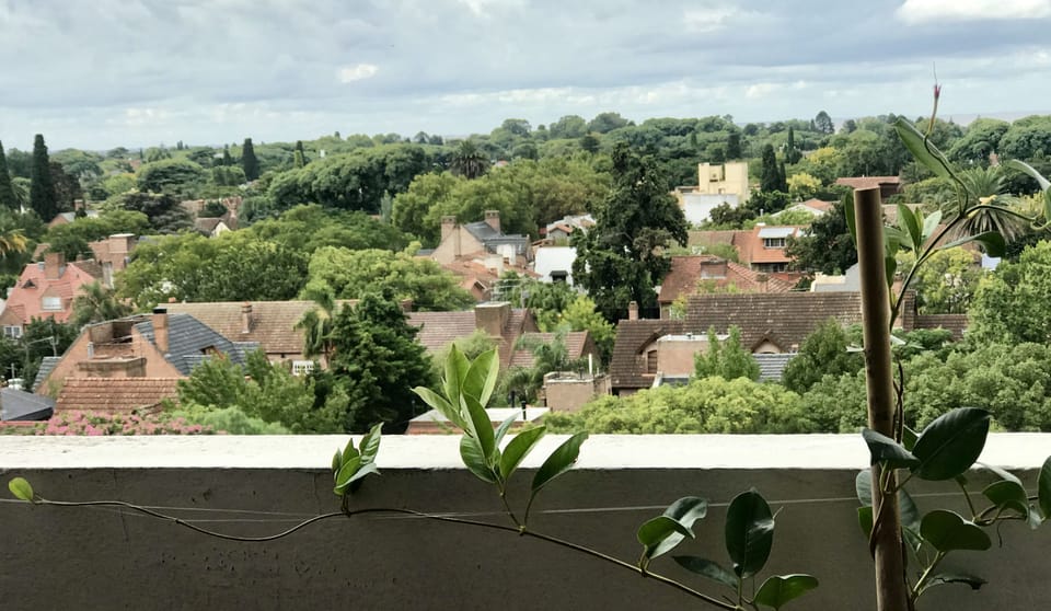 View from property